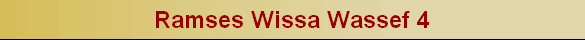 Ramses Wissa Wassef 4