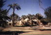 Ramses Wissa Wassef 8