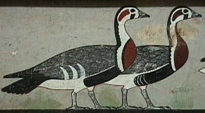 The Egyptian Musuem 33